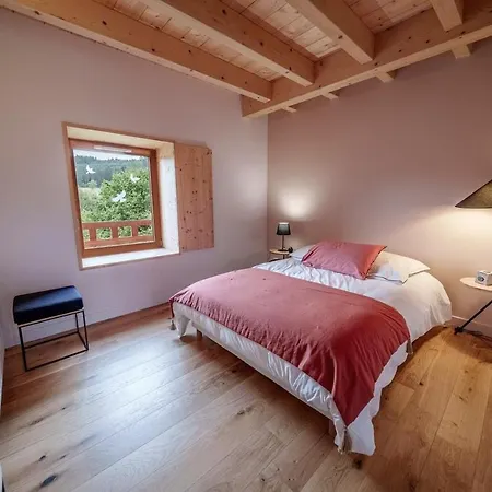 Elegante Maison 225 M2 Et 2 Tiny House 20 M2 15 Personnes 7 7 Salles De Bain Saint-Bonnet-le-Chastel